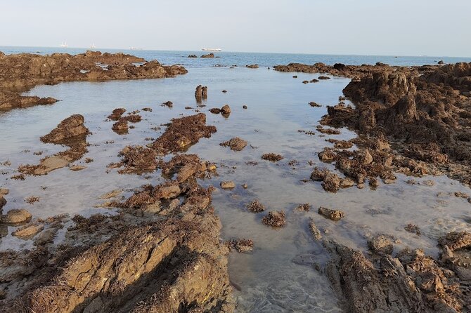 Beachlife & Tidepool Discovery at Desaru Coast Johor |JungleWalla - Who will enjoy this Desaru Coast walk