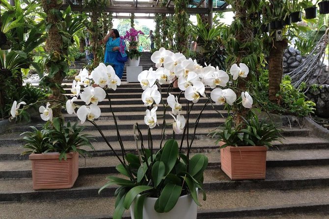 Bird Park & Butterfly Farm Nature Include All Entrance Tour From Kuala Lumpur - What the private vehicle adds