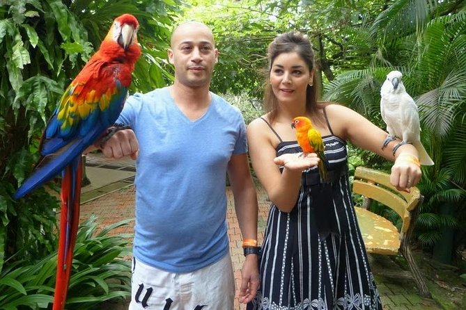 Bird Park & Butterfly Farm Nature Tour From Kuala Lumpur - Who will enjoy this short nature tour