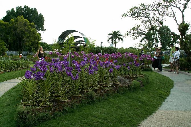 Bird Park & Butterfly Farm Nature Tour From Kuala Lumpur - Butterfly Park, flowers, and a warm garden visit