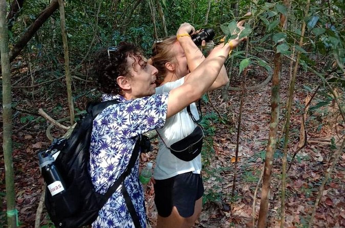 Birdwatching: Desaru's Winged Gems - Why the guide matters more than the bird list
