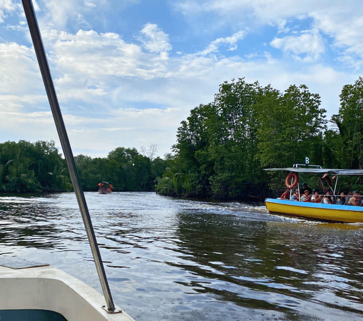 Bongawan River Cruise: Proboscis Monkey & Fireflies Mangrove - The long road to Bongawan