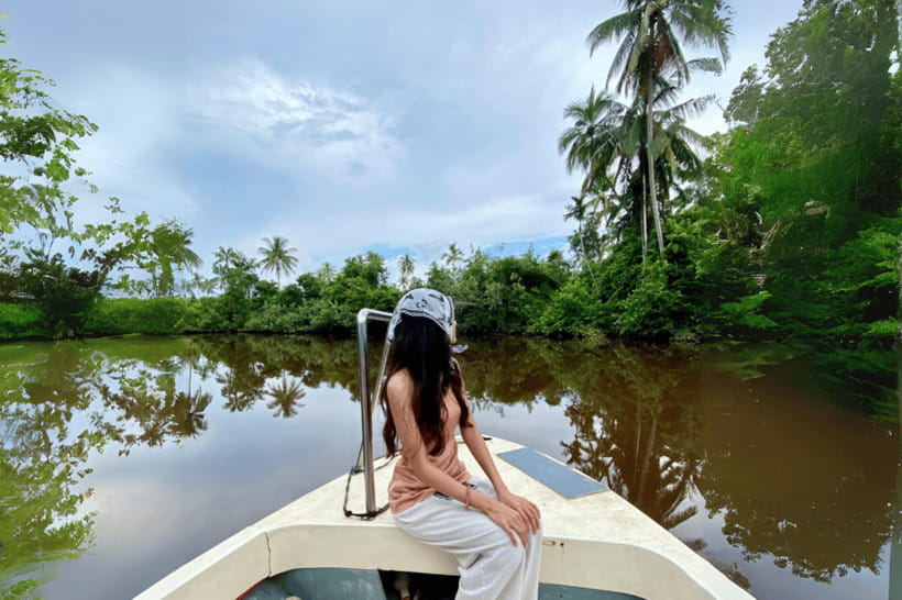 Bongawan River Cruise: Proboscis Monkey & Fireflies Mangrove - Sky Mirror at sunset