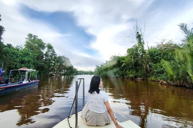 Bongawan River Cruise Proboscis Monkey, SkyMirror, Fireflies - Kota Kinabalu City Mosque and the Friday catch