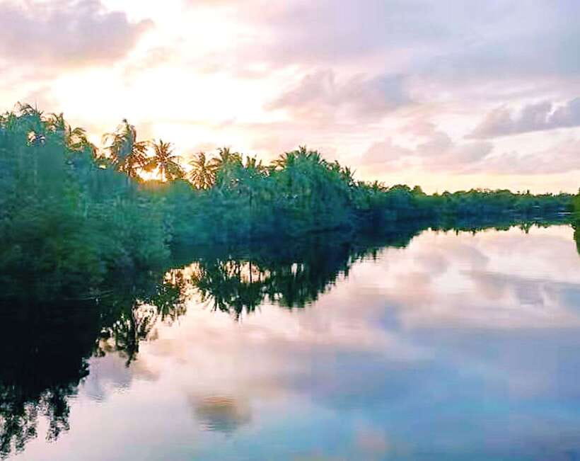 Bongawan Wetland: Proboscis Monkey and Fireflies Shared Tour - The midday pickup and the 110-minute ride