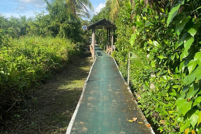 Borneo (Klias) River Cruise & Fireflies Tour - The firefly cruise after sunset