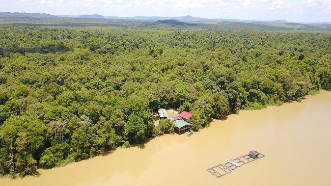 Borneo Wildlife Tour 3 Days 2 Nights At Tanjung Bulat Jungle Camp Kinabatangan - Who should book this jungle stay