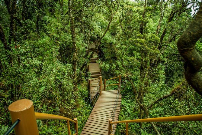 Cameron Highland Day Tour from Kuala Lumpur - BOH Tea Plantation and the tea factory