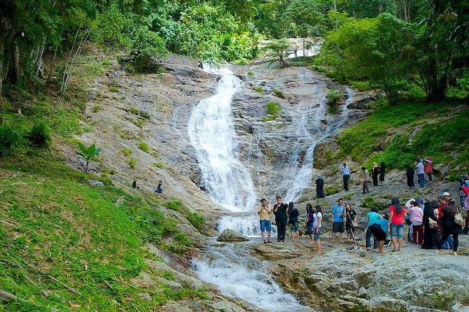 Cameron Highland Day Tour from Kuala Lumpur - What the private format is really worth