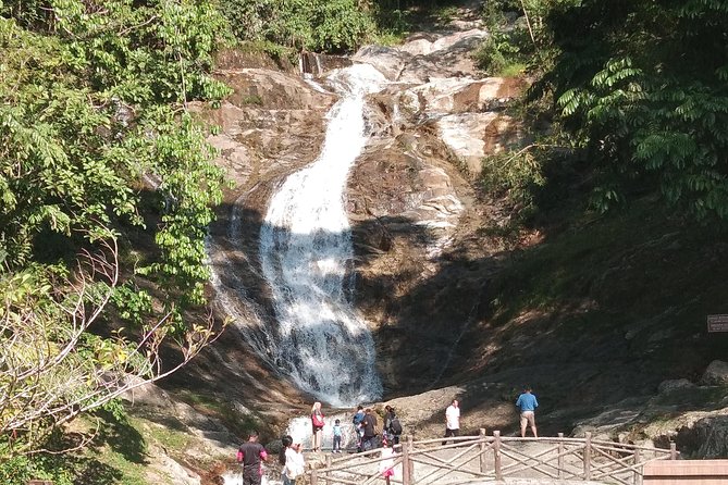 Cameron Highland Day Trip - Why leave Kuala Lumpur for Cameron Highlands?
