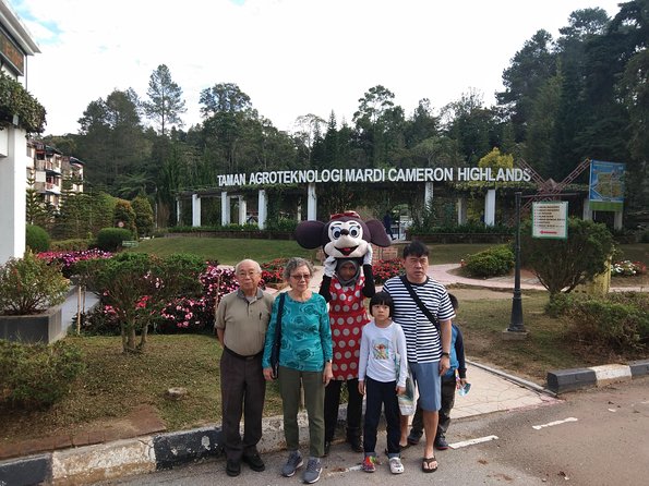 Cameron Highland Day Trip - Strawberry picking at Raju Hill