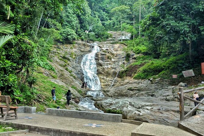 Cameron Highland Full Day Tour from KL City (Private) - Butterflies, bees, and cacti