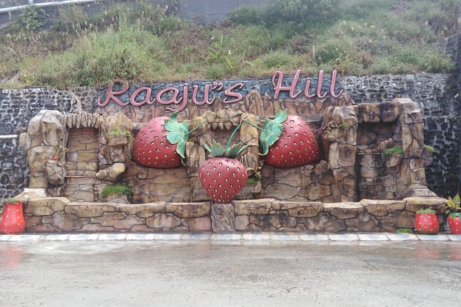 Cameron Highland Private Day Tour - The long road from Kuala Lumpur to the highlands