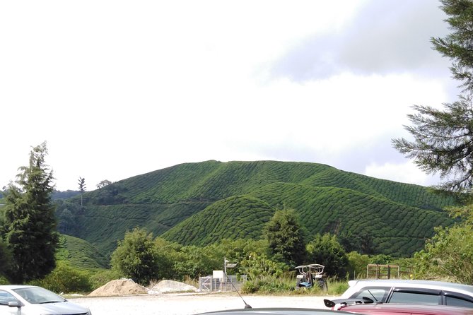 Cameron Highland Private Day Tour - Kea Farm Market and the taste of local produce