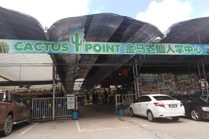 Cameron Highland Private Day Tour - The grape and tomato farm at Kampung Raja