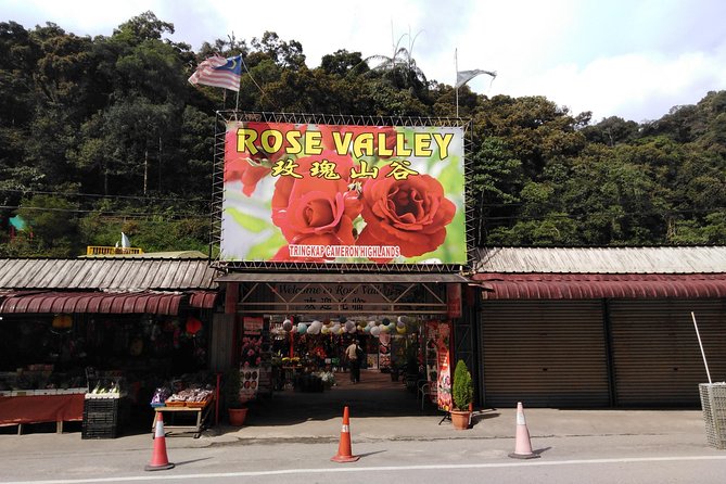 Cameron Highland Private Day Tour - Lunch, language, and the private-tour tradeoff
