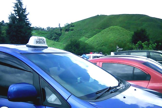 Cameron Highland Private Day Tour - Tea, scones, and the first taste of Cameron Highlands