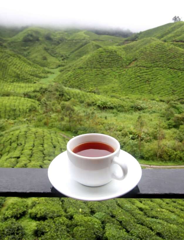 Cameron Highlands 1 Day Tour from Kuala Lumpur - Bharat tea plantation and the highland views
