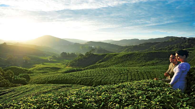 Cameron Highlands 1 Day Tour from Kuala Lumpur - Is $173 per person a fair price?