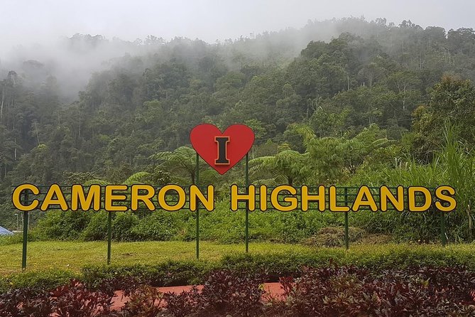 Cameron Highlands Amazing Day Trip Tour with Local Lunch - Key points at a glance