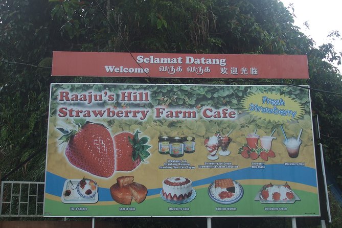Cameron Highlands Amazing Day Trip Tour with Local Lunch - Lunch with a Malaysian touch