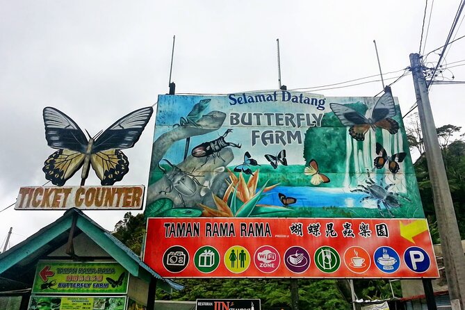 Cameron Highlands Day Tour From Kuala Lumpur 2025 - The early pickup and the road north