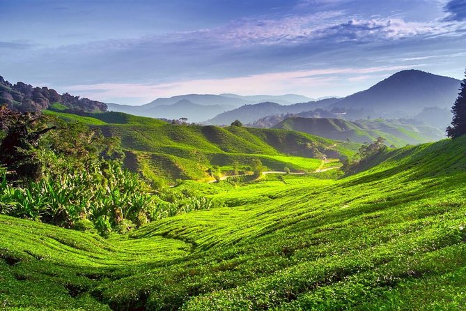 Cameron Highlands Day Trip - The long road to Lata Iskandar waterfall