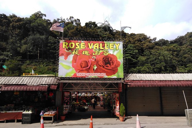 Cameron Highlands Day Trip - Lavender, flowers, and the small bee section