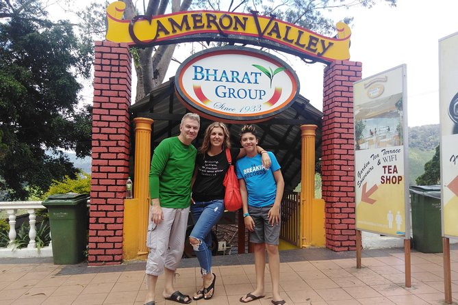 Cameron Highlands Day Trip From Kuala Lumpur - Why this private trip works better than a big bus