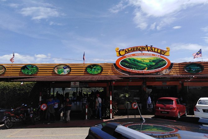 Cameron Highlands Day Trip From Kuala Lumpur - Big Red Strawberry Farm adds a hands-on farm stop