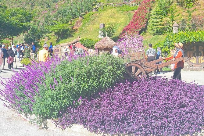 Cameron Highlands Full-Day Tour from Ipoh with Lunch - Sam Poh Temple on the hill