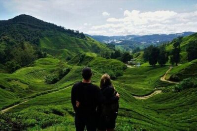 Cameron Highlands Full-Day Tour from Ipoh with Lunch