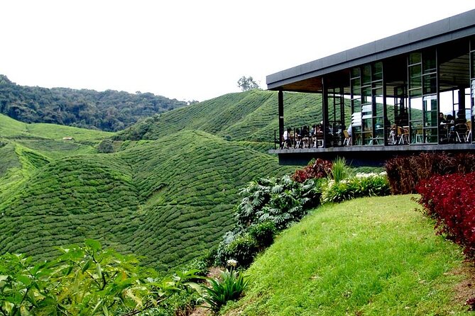 Cameron Highlands Full-Day Tour from Ipoh with Lunch - Cactus Valley, a quick garden stop