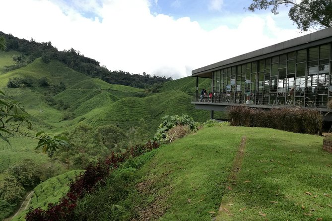 Cameron Highlands, Garden of Nature Full Day Private Guided Tour - The 7:30 am departure and private transport