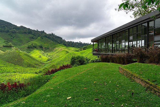 Cameron Highlands One Day Trip from Kuala Lumpur Privately Organised - Cameron Bharat Tea Estate and the first big views