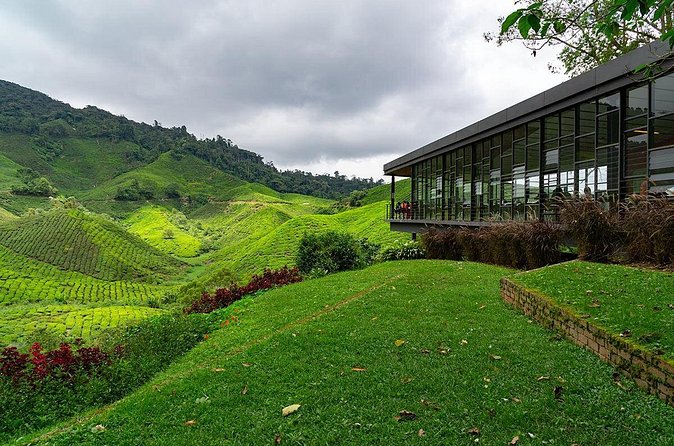 Cameron Highlands One Day Trip from Kuala Lumpur Privately Organised - The guide can shape the whole day