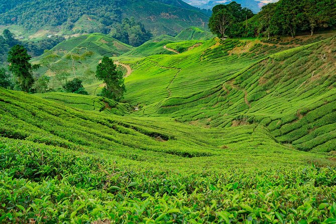 Cameron Highlands One Day Trip from Kuala Lumpur Privately Organised - Lata Iskandar: waterfall and roadside fruit