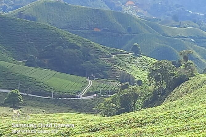 Cameron Highlands Private Day Tour from Ipoh, Package B - Key points to know before booking