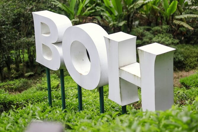 Cameron Highlands Private Day Tour from Ipoh, Package B - Kea Farm Market: produce, snacks, and a busy change of pace