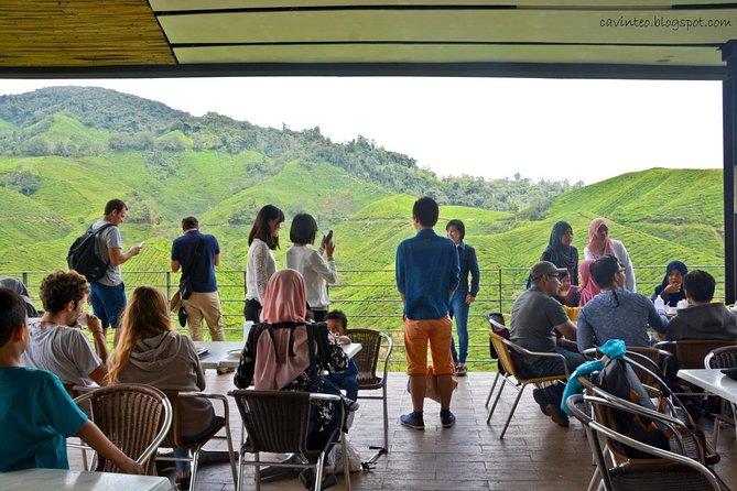 Cameron Highlands Private Day Tour from Kuala Lumpur - Ringlet and a glimpse of farming life