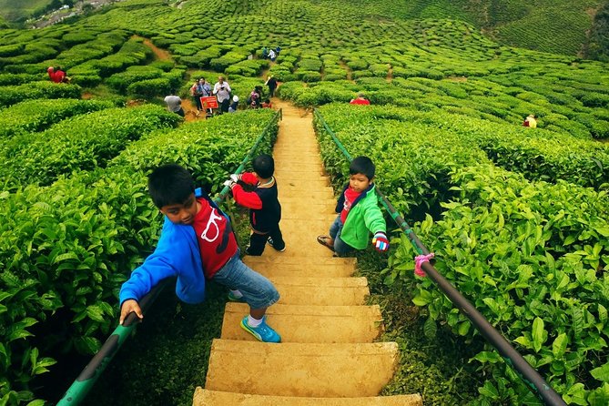 Cameron Highlands Private Day Tour from Kuala Lumpur - Tanah Rata and Cameron Valley from the road