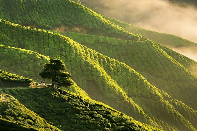 Cameron Highlands Private Day Tour from Kuala Lumpur - Lata Iskandar and the first mountain views