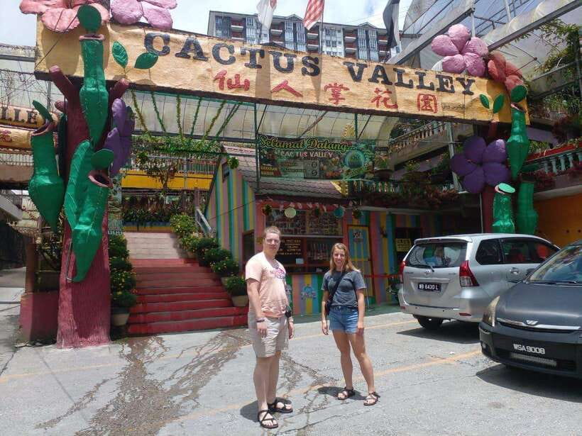 Cameron Highlands Private Day Trip - Why Cameron Highlands makes a good day away