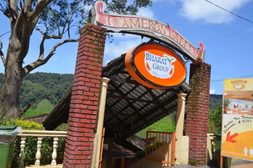 Cameron Highlands Private Day Trip - Bharat Tea Farm and the highland view