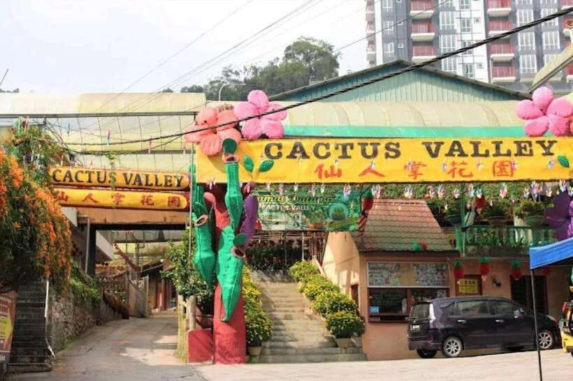 Cameron Highlands Private Day Trip - Big Red Strawberry Farm and the pick-your-own appeal