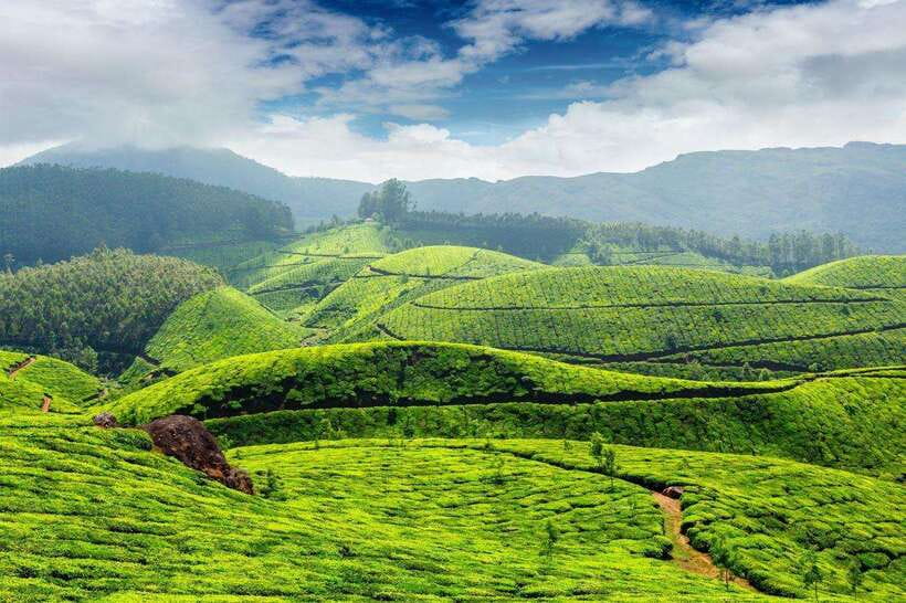 Cameron Highlands Private Day Trip - Lata Iskandar Waterfall: a useful first break