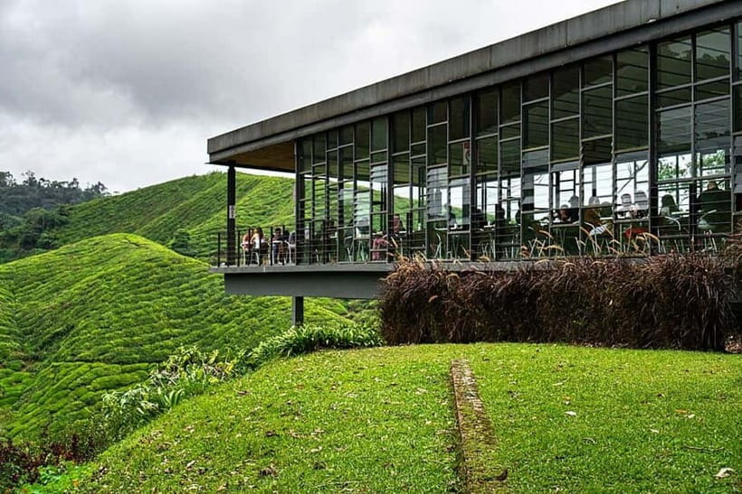 Cameron Highlands Tour - Comfort, packing, and practical limits