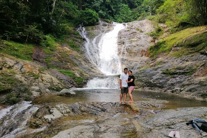 Cameron Highlands Tour from Kuala Lumpur - Bee farm and strawberry picking