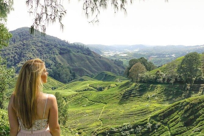 Cameron Highlands Tour from Kuala Lumpur - Kea Farm Market and the local lunch