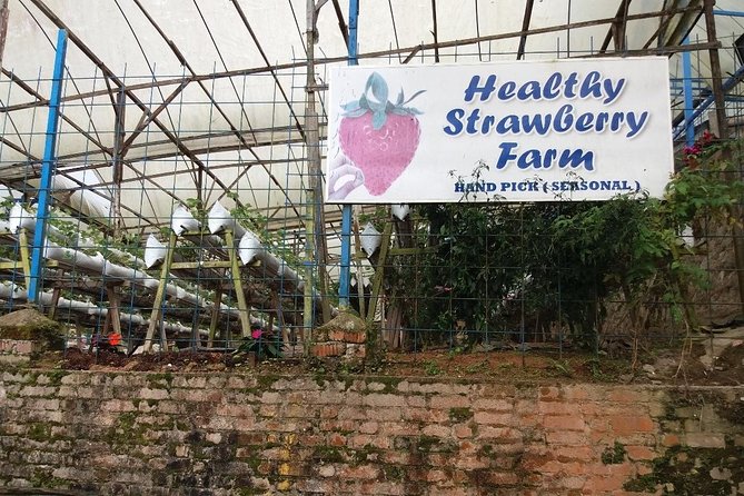 Cameron Highlands Tour From Kuala Lumpur (Private Tour) - Ee Feng Gu Bee Farm and the honey stop